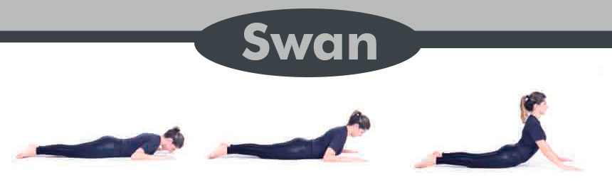 Swan---Incontinência-Urinária