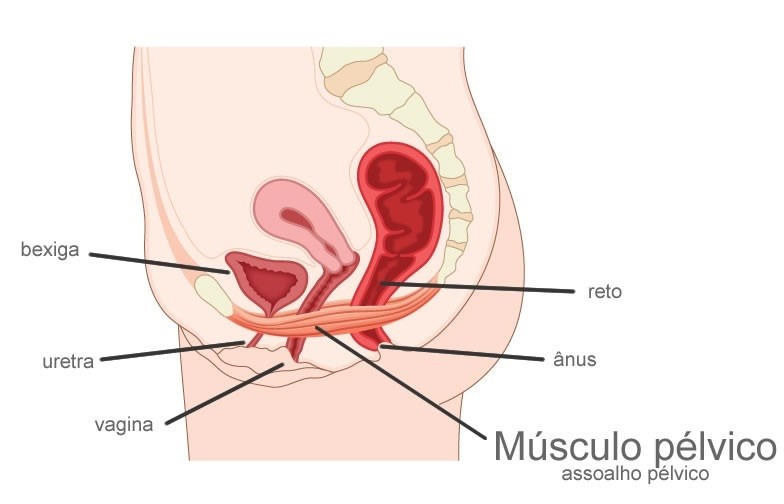 Prolapso Genital  (2)