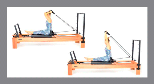 French-Press-Triceps - Exercícios de Pilates no Reformer
