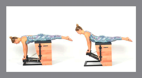 3)-Swan-Front -Exercícios de Pilates na Step Chair