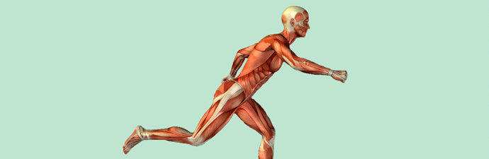 Biomecânica-no-Método-Pilates-2