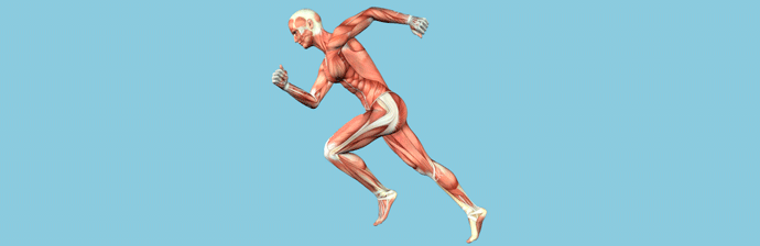 Biomecânica-no-Método-Pilates