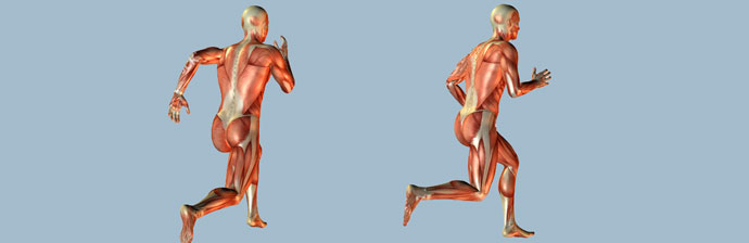 biomecanica-do-metodo-Pilates-3