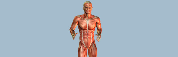 biomecanica-do-metodo-Pilates-4