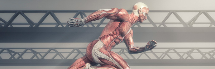 Pilates-no-Tratamento-da-Pubalgia-1