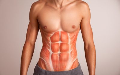 Transverso Abdominal e sua importância para a estabilização da coluna