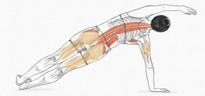 The Side Bend - exercícios originais de Pilates