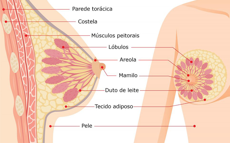 pilates-para-tratamento-do-cancer-de-mama1