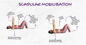 Scapular Mobilization