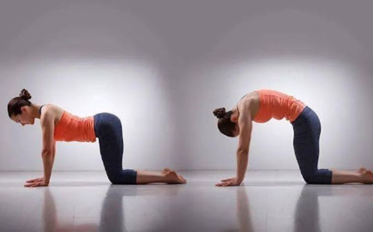pilates-após-os-50-cat-cow