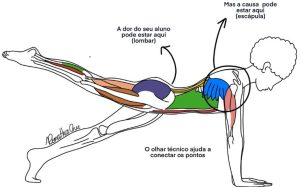entender-o-corpo-humano-foto
